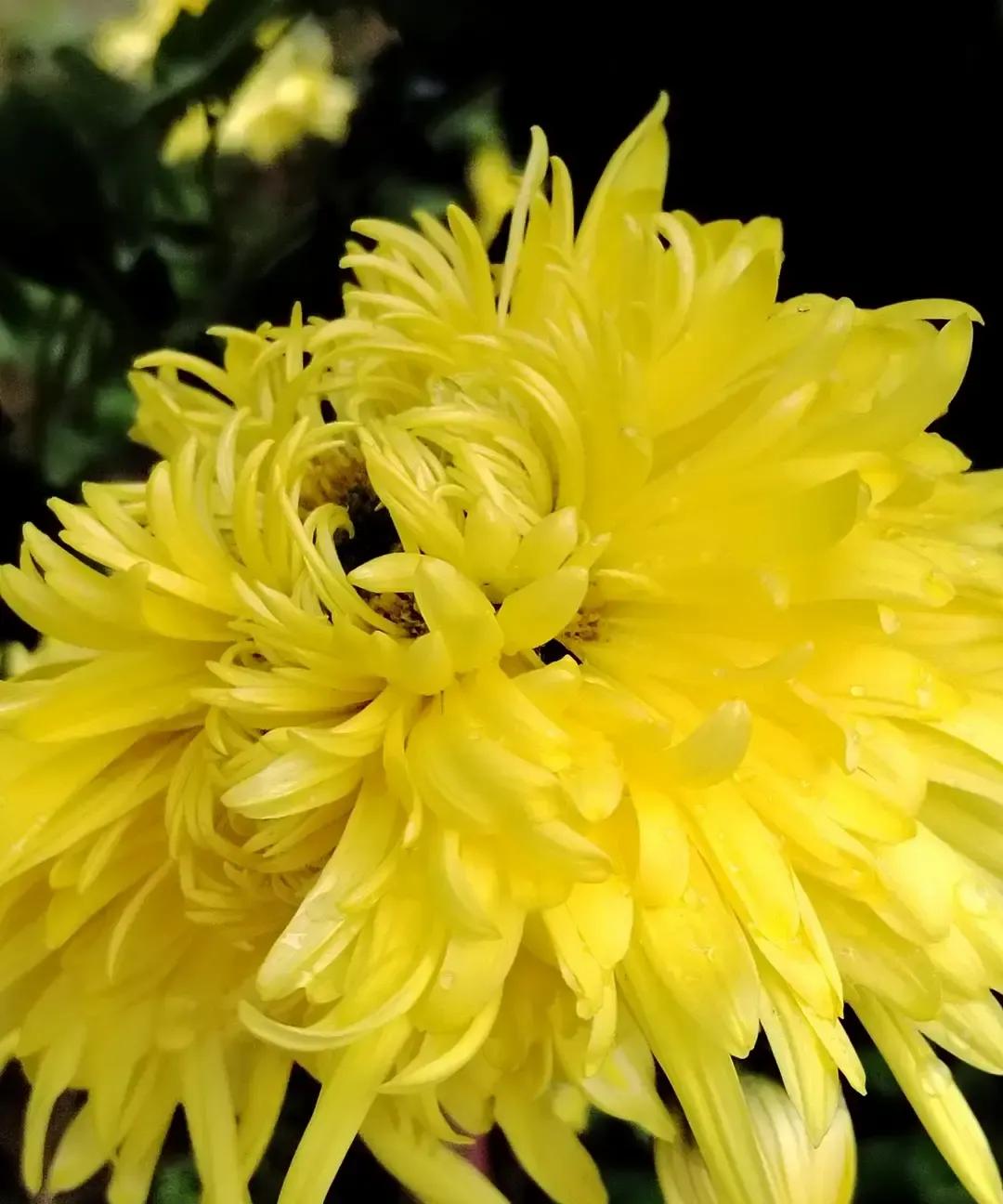 计划生育年代，一对夫妻只生一个娃，儿子长大开夜班出租，被乘客抢钱捅死，老两口天亮