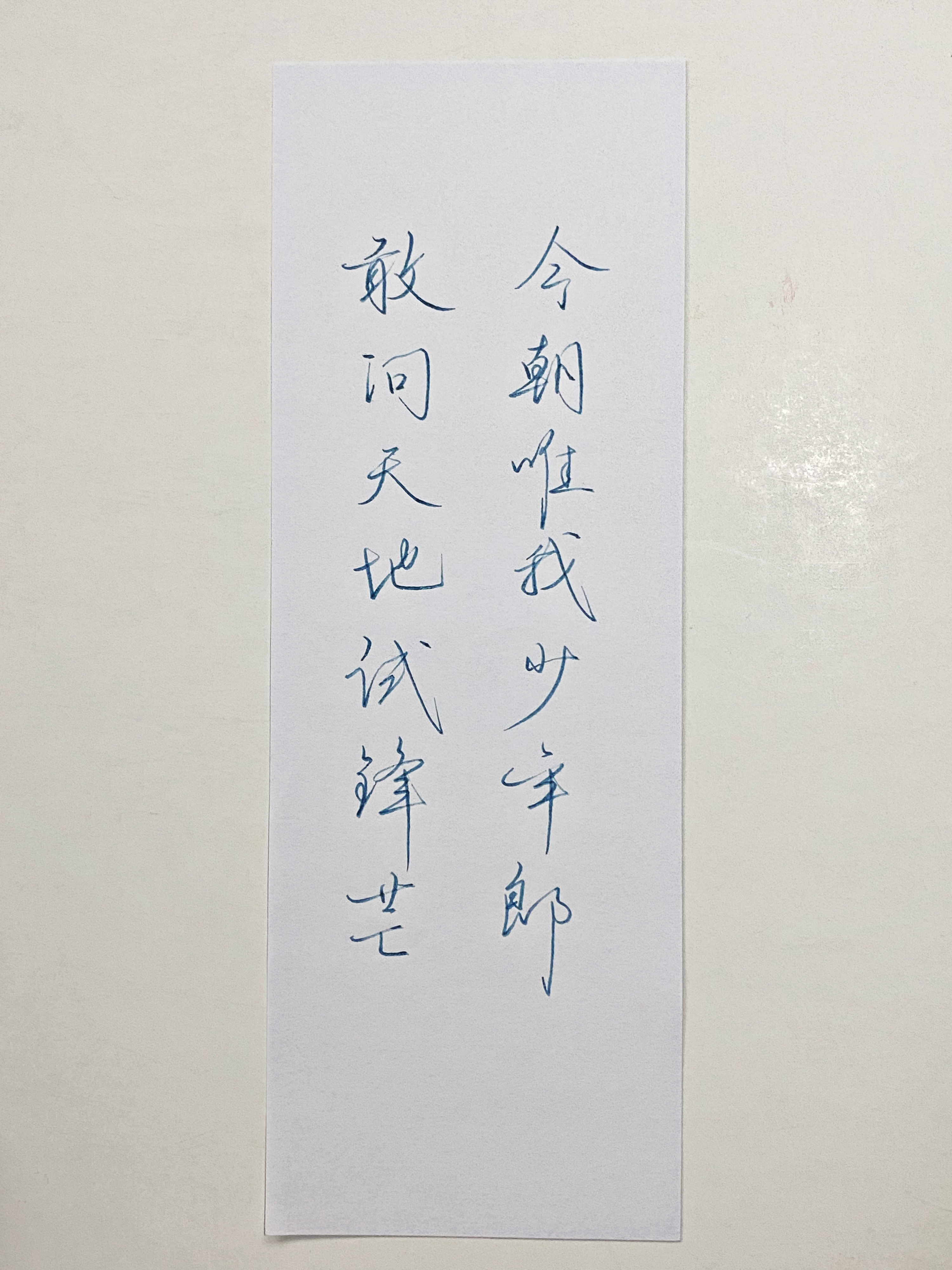 练字  敢问天地试锋芒！ 
