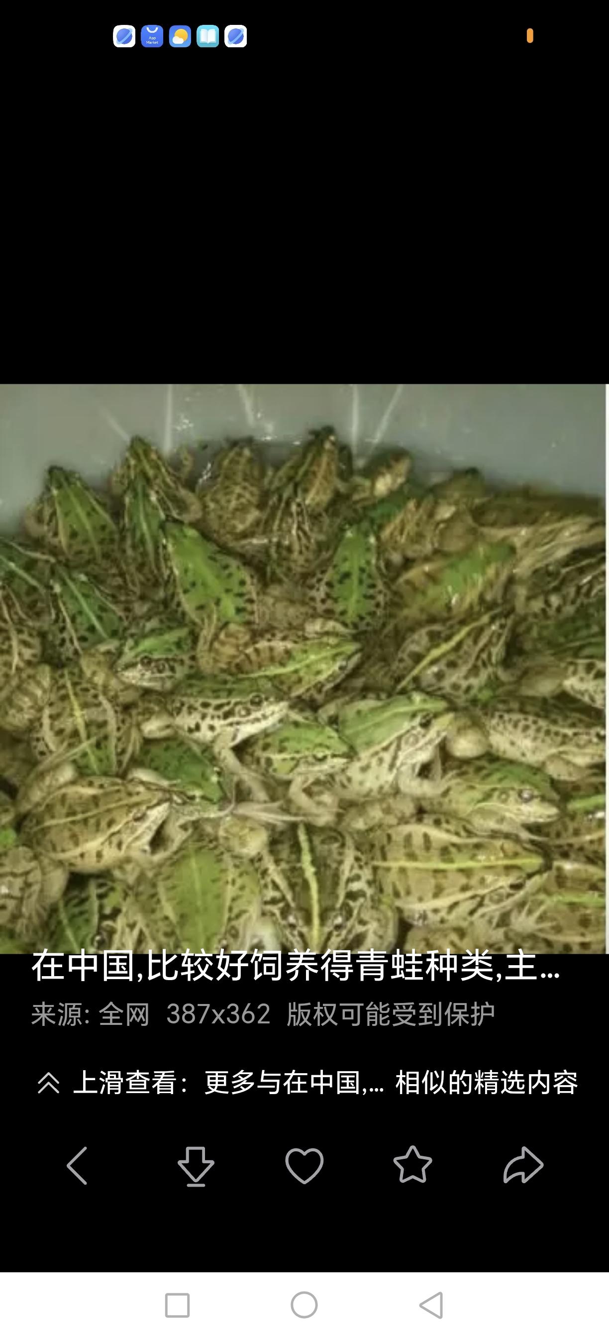 昨天下了中雨，突然蛙声一片，他们原来藏在什么地方呢？不至于一夜之间就长出来吧！