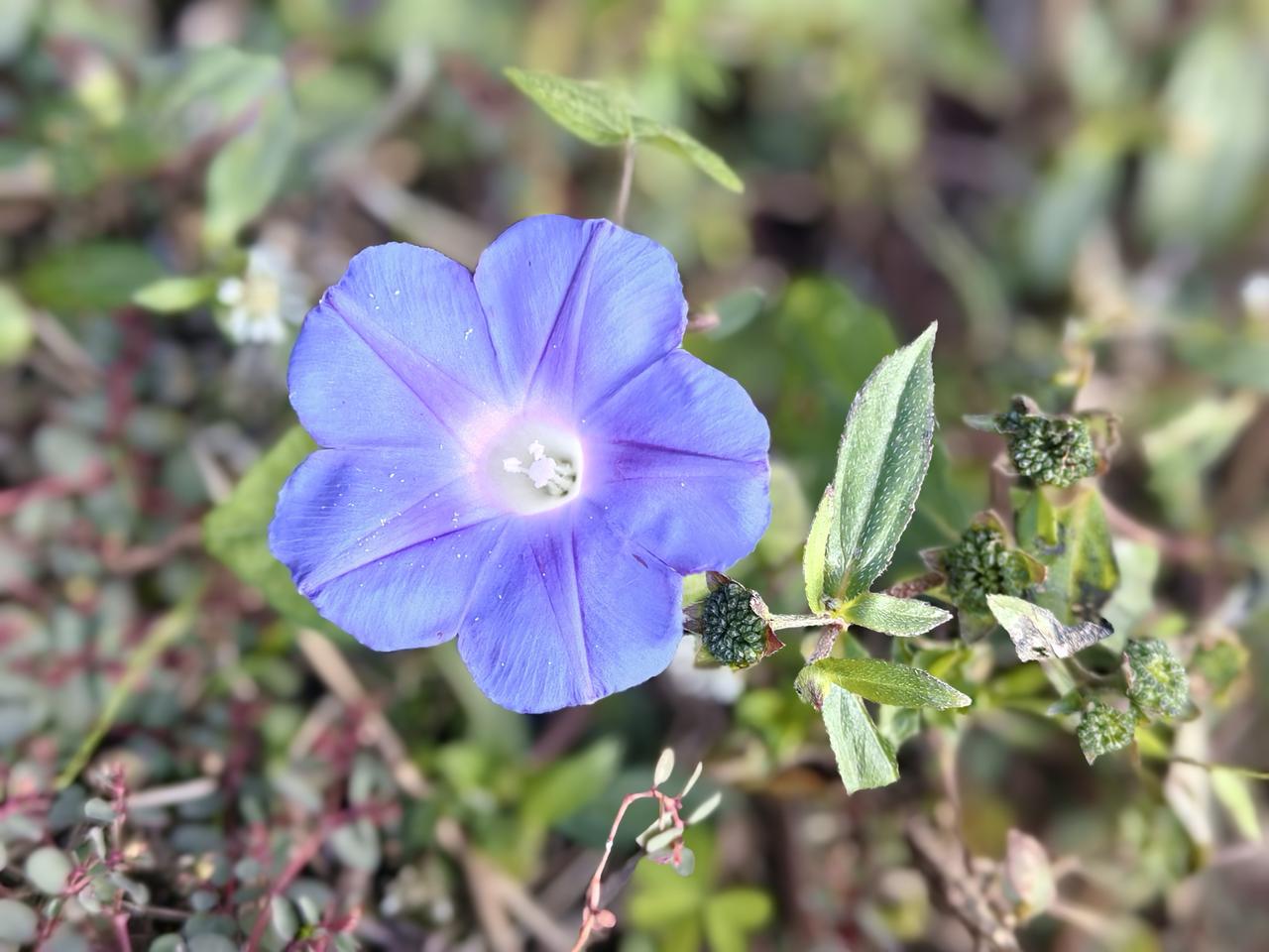 体制内外不通婚，除非男人是秃头🦲。

这几年的婚恋市场，默认体制内外不通婚。如