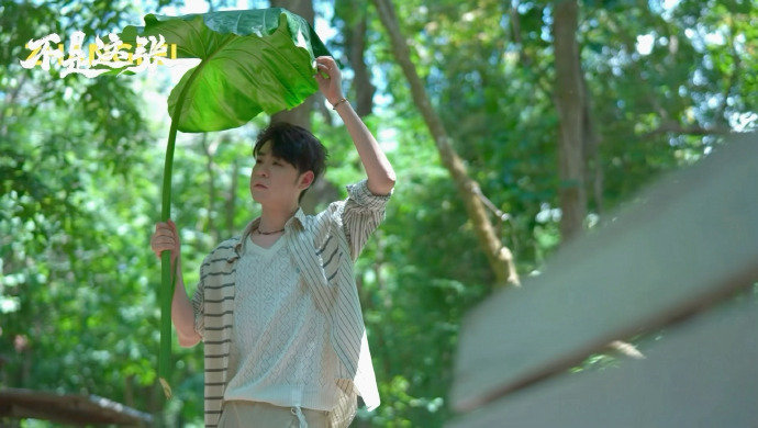 张云雷戴了一头鸟  张云雷把食物放帽子上，转眼成“鸟帽”少年，一脸懵不敢动，这松