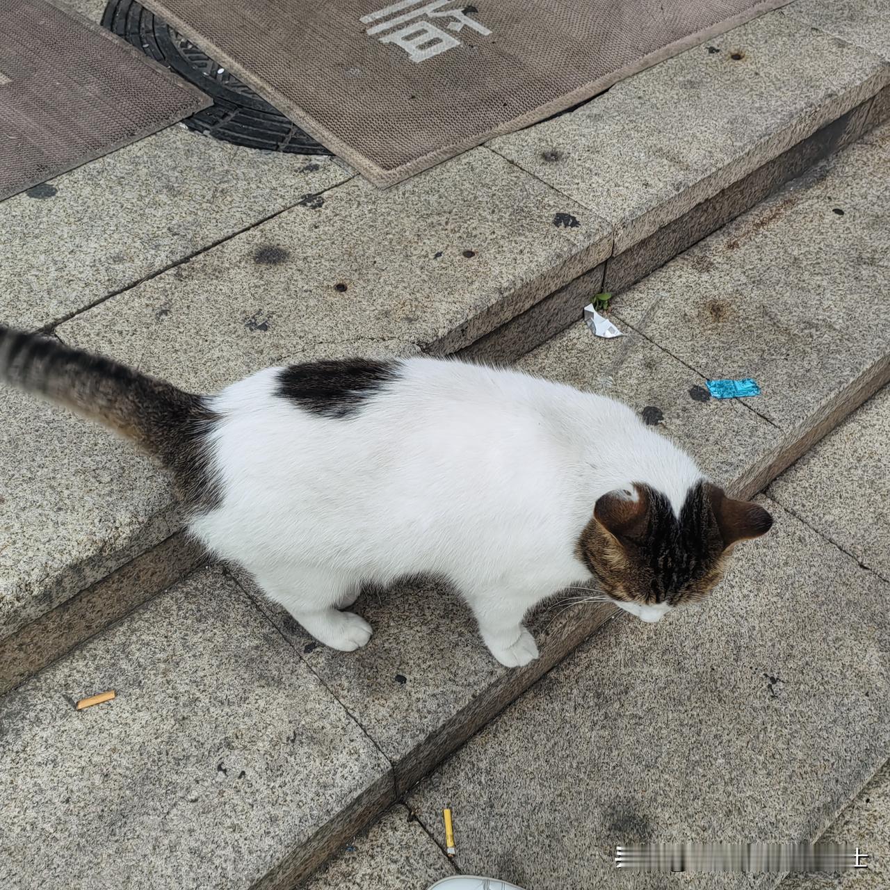 昨晚睡眠好到极致，10:45关灯睡觉，一觉睡到凌晨5:00才醒。如果不是做梦想上