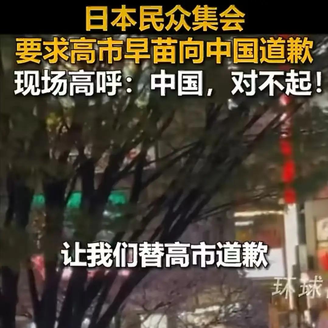 真没想到，日本民众站出来为中国道歉，日本政府却装聋作哑！
 
大批日本民众在东京