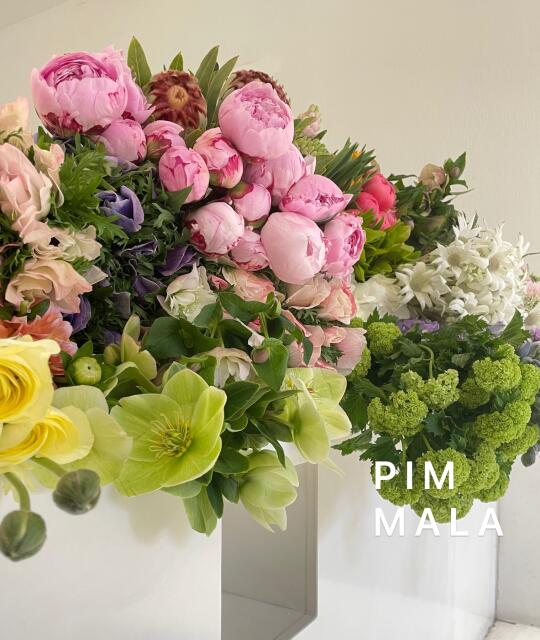 PIMMALA｜早啊！但行好事莫问前程！