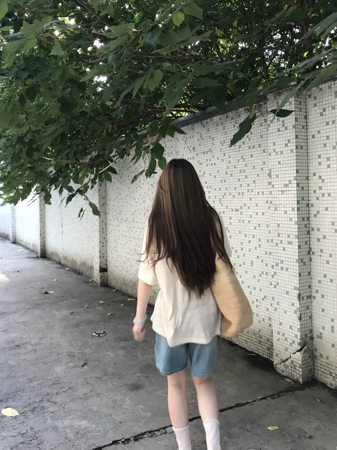 163 108 开始期待夏天啦！！