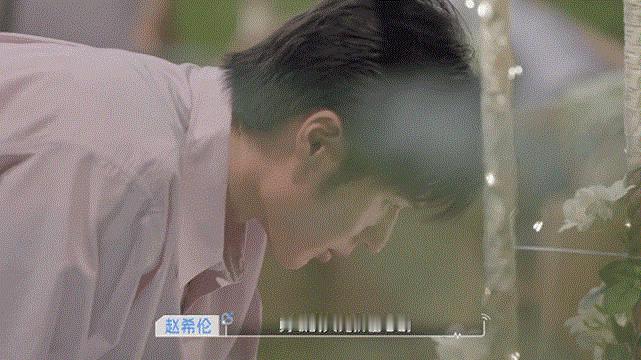 乐高摇滚盆栽 恋综的尽头是磕糖，但也是种草啊！看赵希伦拿着小盆栽主动出击送给沙玥