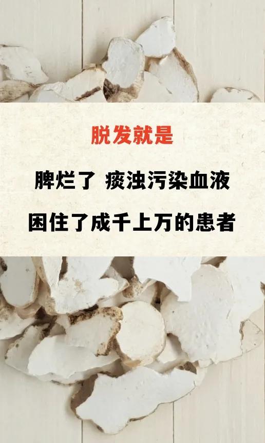 脱发就是
脾烂了 痰浊污染血液
困住了成千上万的患者

脱发掉发真的治不好吗？在