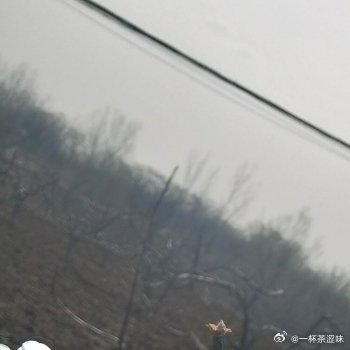 阳光信用 做自己的太阳，与山川湖海为伴，热爱生活，自信勇敢，保持善良，勇往直前！