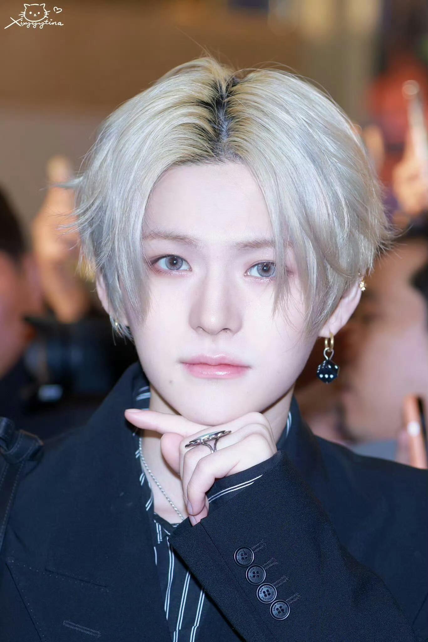 【金本芳典】最像人类的猫咪 