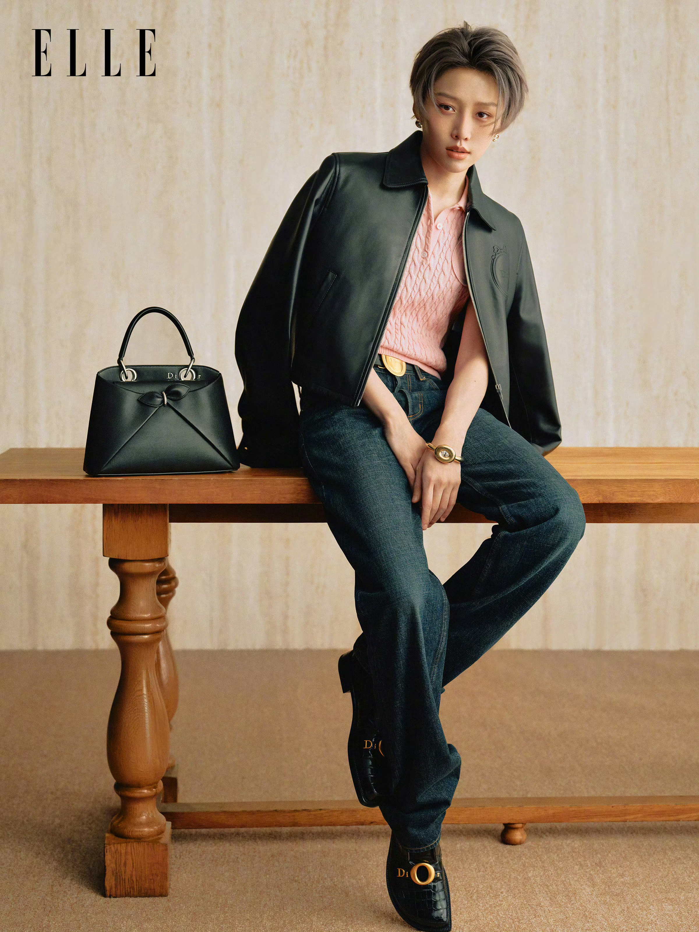 刘雨昕 × ELLE China 风格大赏Dior Cigale 手袋宣传大片 