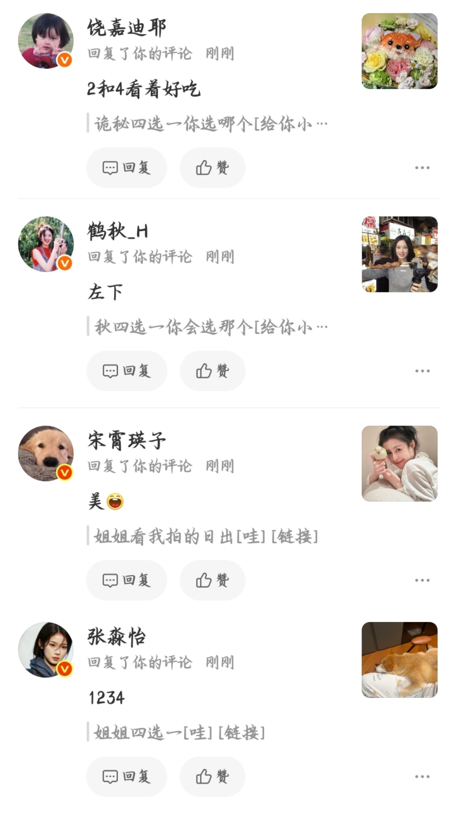 给姐姐们全世界