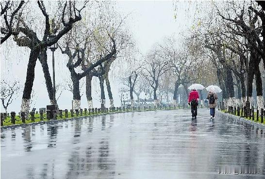 《七绝•冬雨绵绵》

细雨绵绵冬日寒，

银丝轻舞落人间。

虽无白雪添新景，
