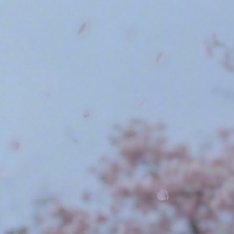 angelababy angelababy “炽热的阳光与街道的繁荣，都在告诉我