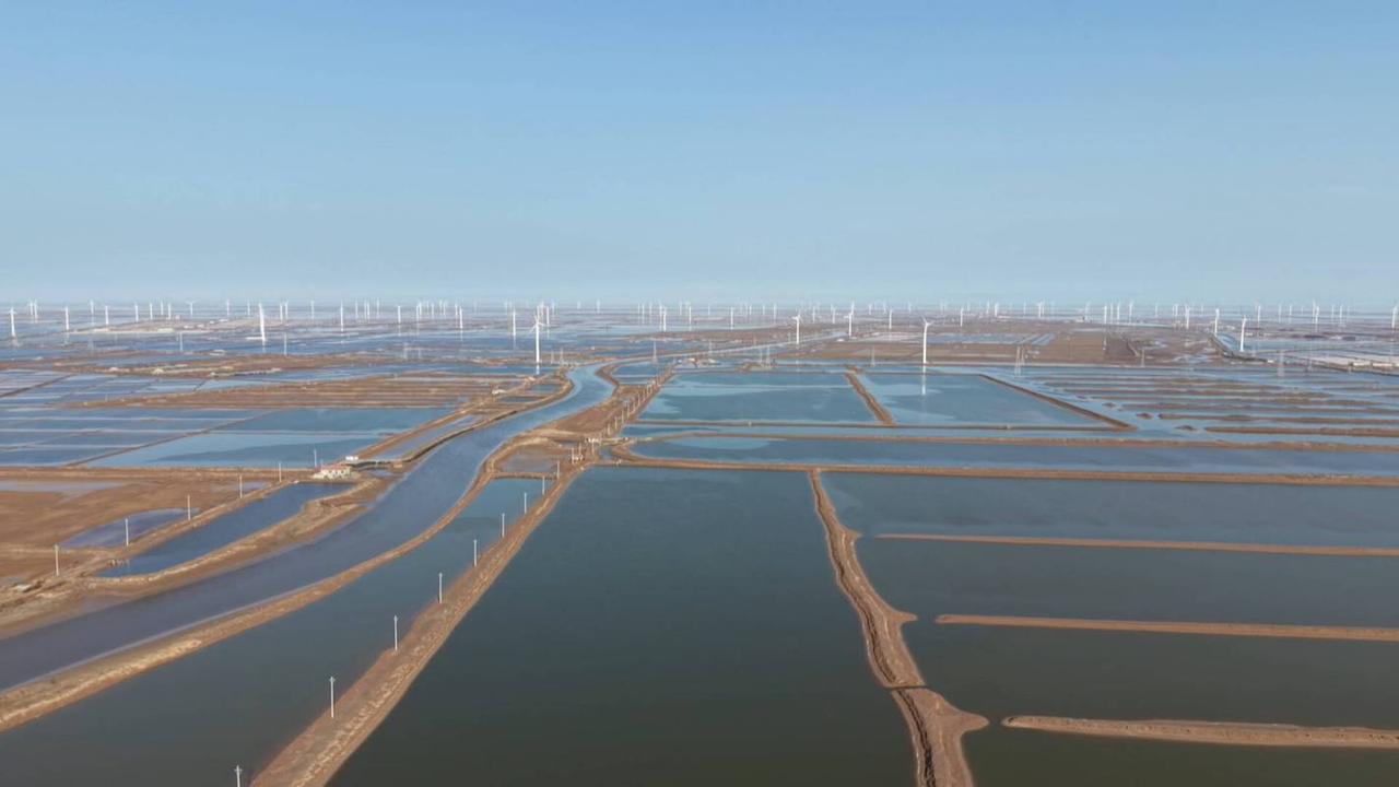 东营财政增稳定！

2026年1-2月东营地方财政收入为61.99亿，增长3.0