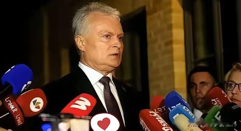 想不到英国、芬兰、加拿大相继访华后，立陶宛总统急了，要求中方先释放善意，让自己访