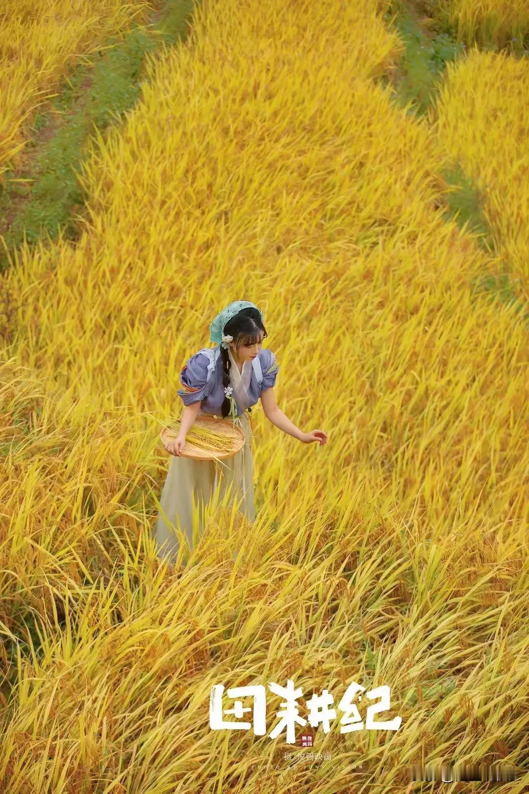 《田耕记：四季农歌，岁月华章》
（原创首发）陋室听秋/文
 
春临大地，田野仿若