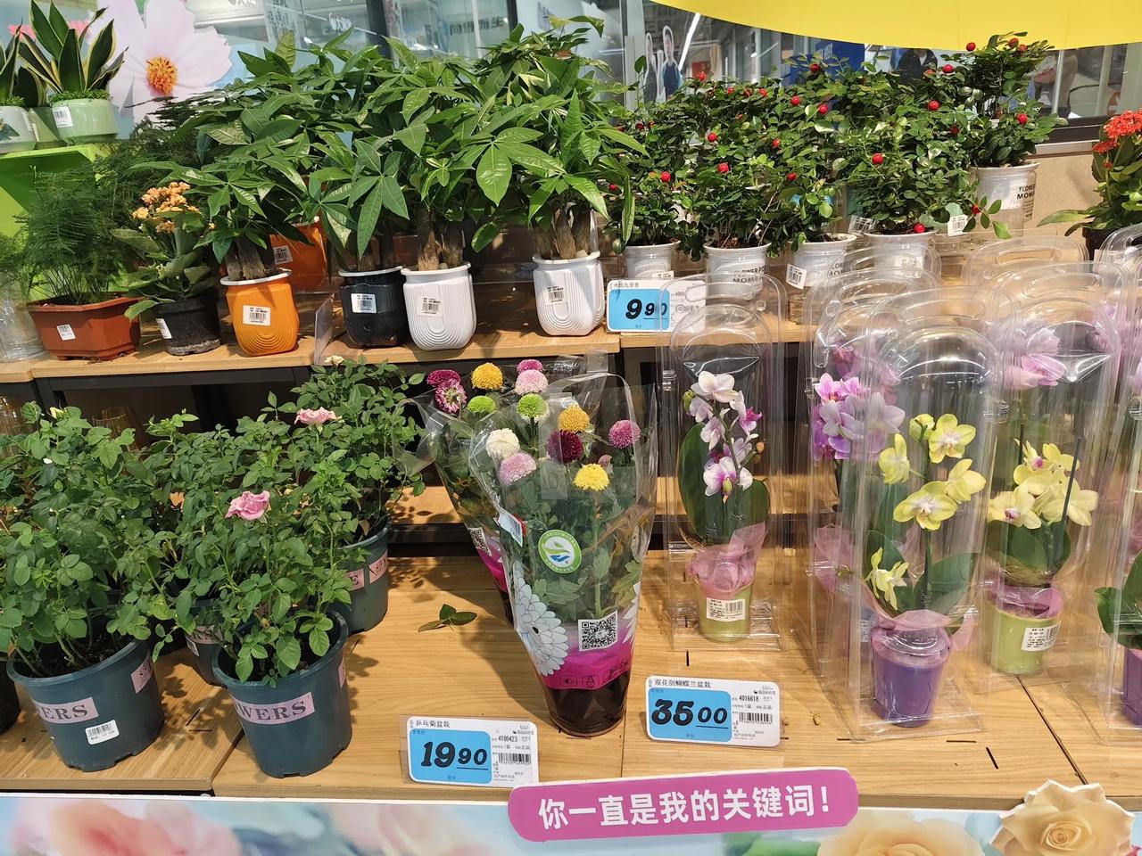 #随手记录秋日生活#
明日寒露，二十四节气是中国非物质文化遗产！
寒露，说明寒气