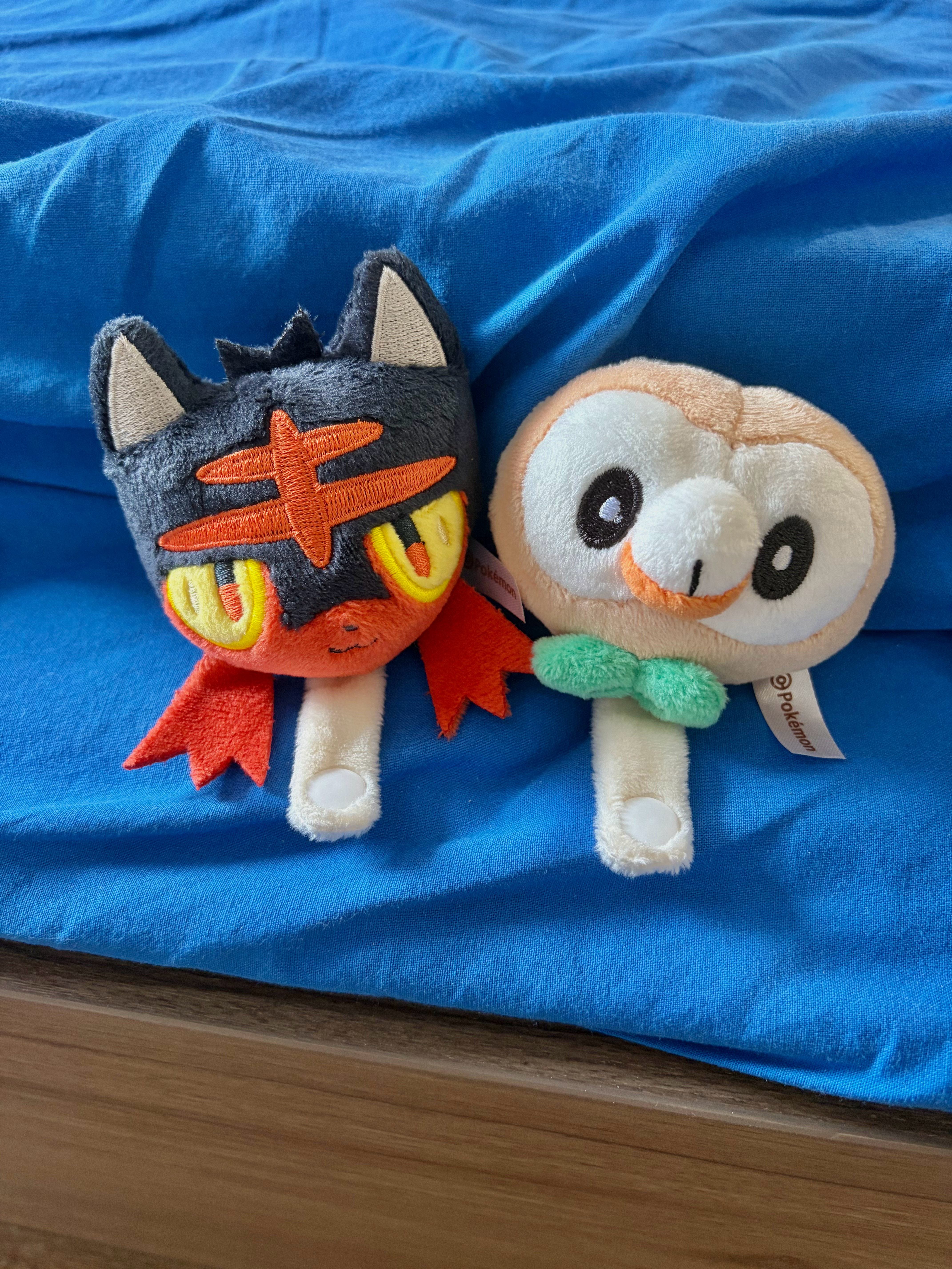 首页有火猫木枭厨想换出海狮的吗[思考] （木木枭换掉了 ​​​