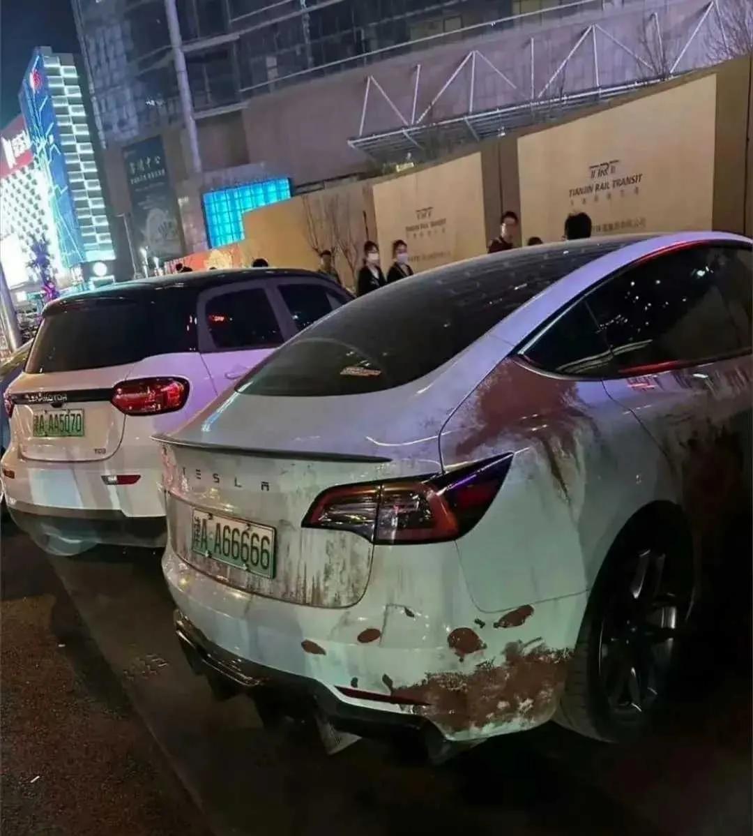 网友：原来特斯拉车主也有不讲究的时候。。。