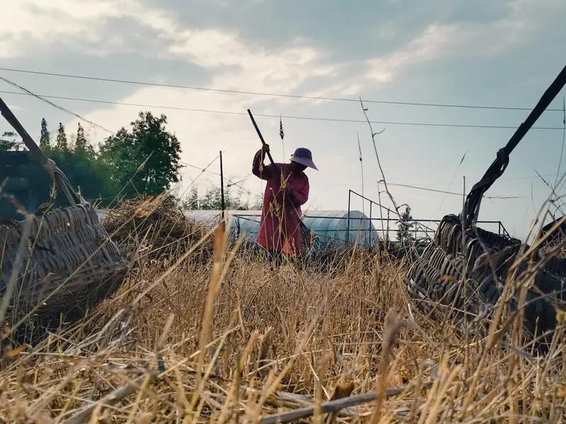 播种经历，收获习惯；播种习惯，收获性格；播种性格，收获命运。对一个人的成长养成与