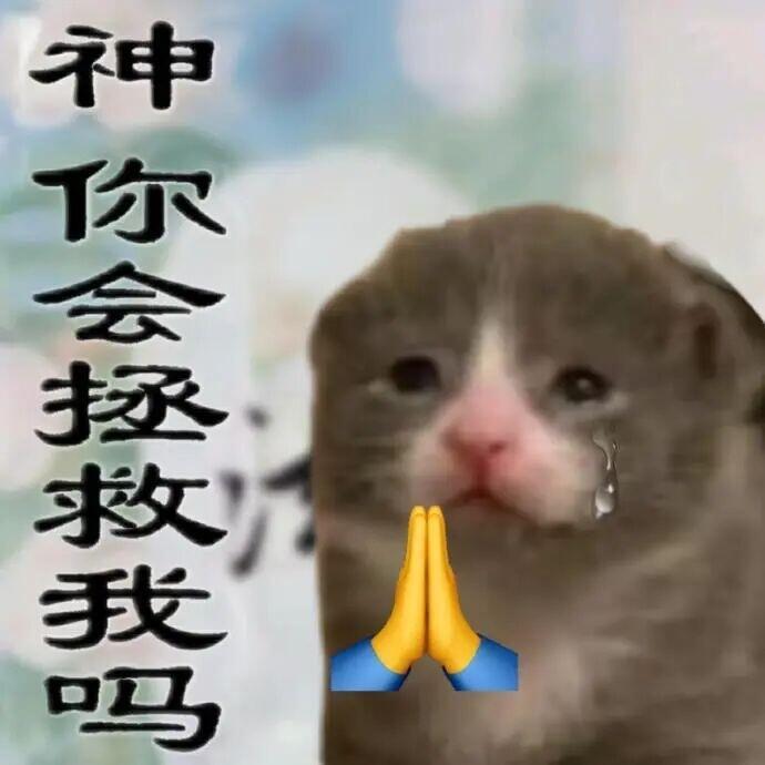 早早早早早早早早早早早早早早早早早早早☕️不要再下雨了，台风也半路改道吧…🙏 