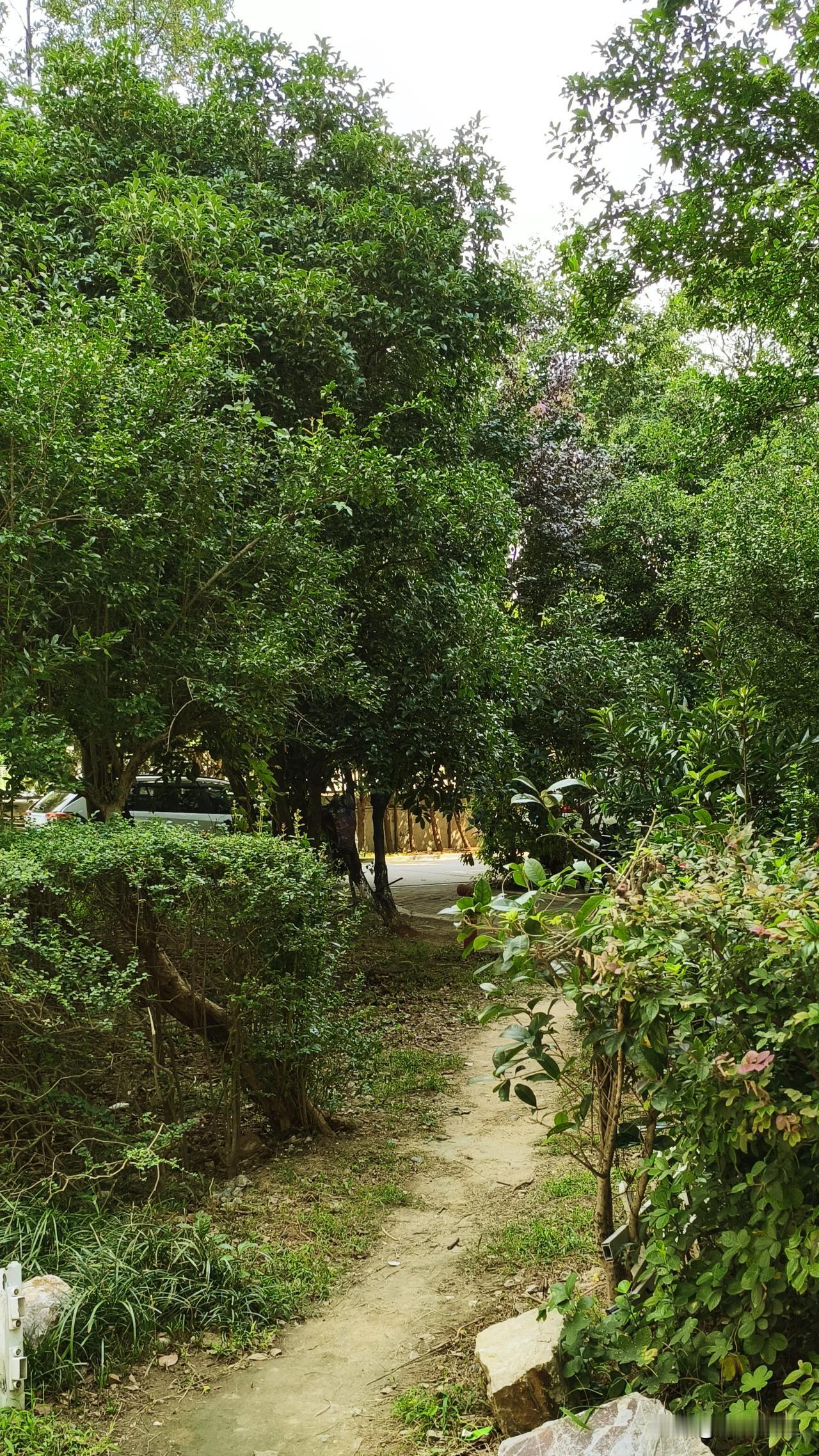 南京今天的气温真的踩在了最舒服的区间里。
最高温稳稳卡在28到30℃，不会像前阵
