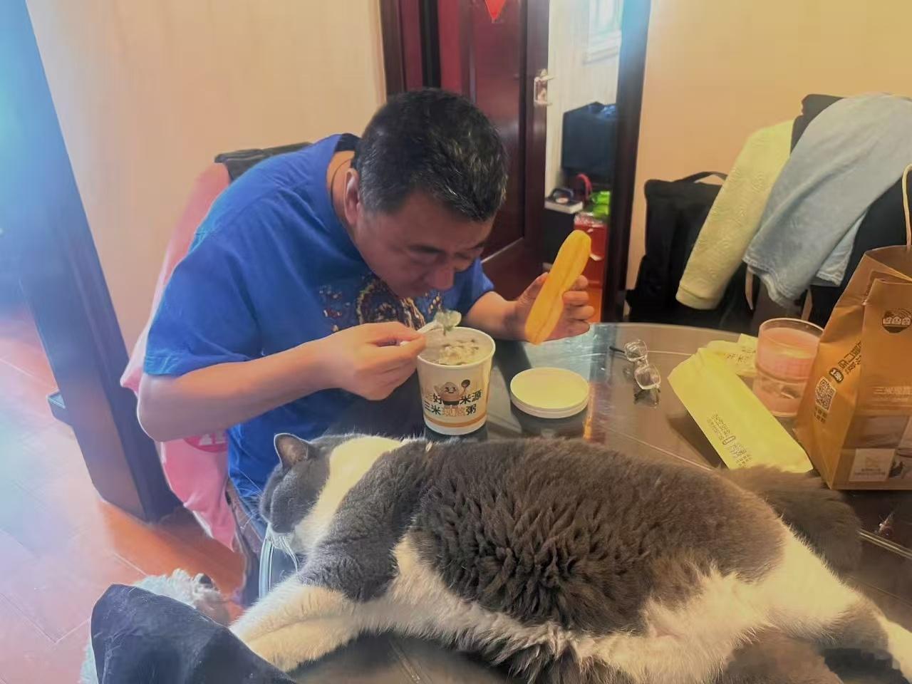 今天亚咪韩兴致比较高，陪我吃早饭，因为他是英短品种，吃西餐的，对于我的中式早餐不