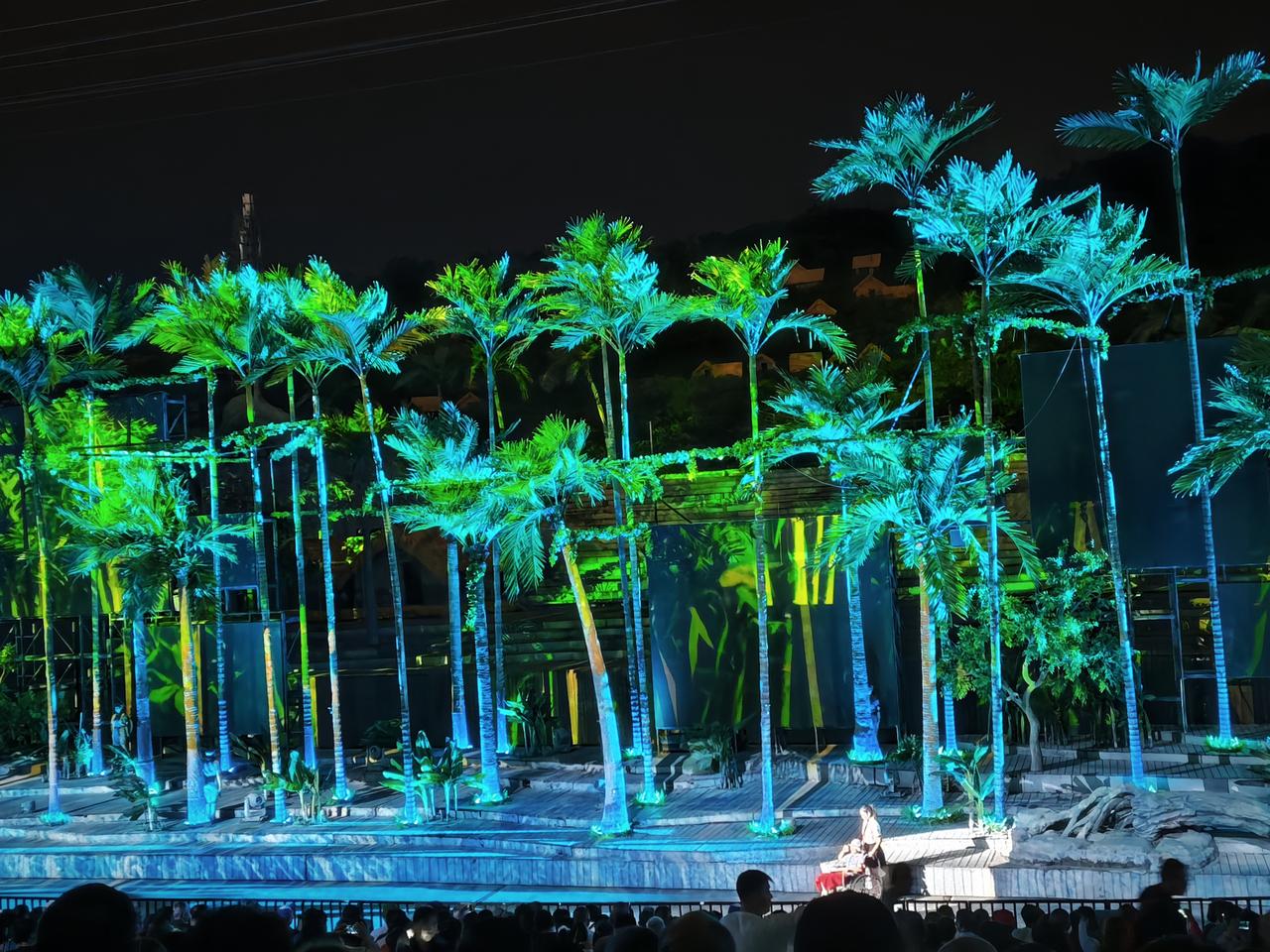 分享一下你随手拍下的照片夜色里的椰林被光影揉碎成蓝绿的梦境，舞台上的流光把海岛的