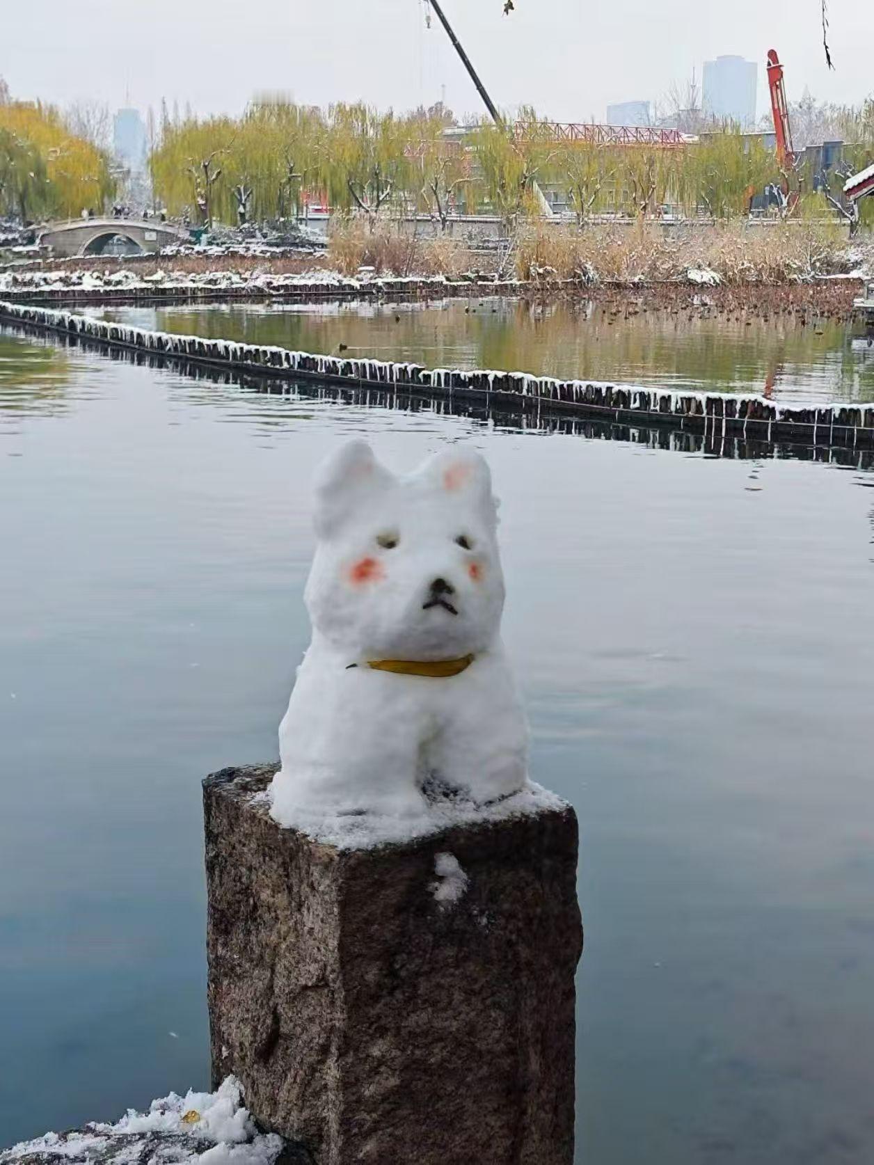 大明湖的雪人儿
哪个最可爱雪人合照 大明湖旅行 济南雪景拍照