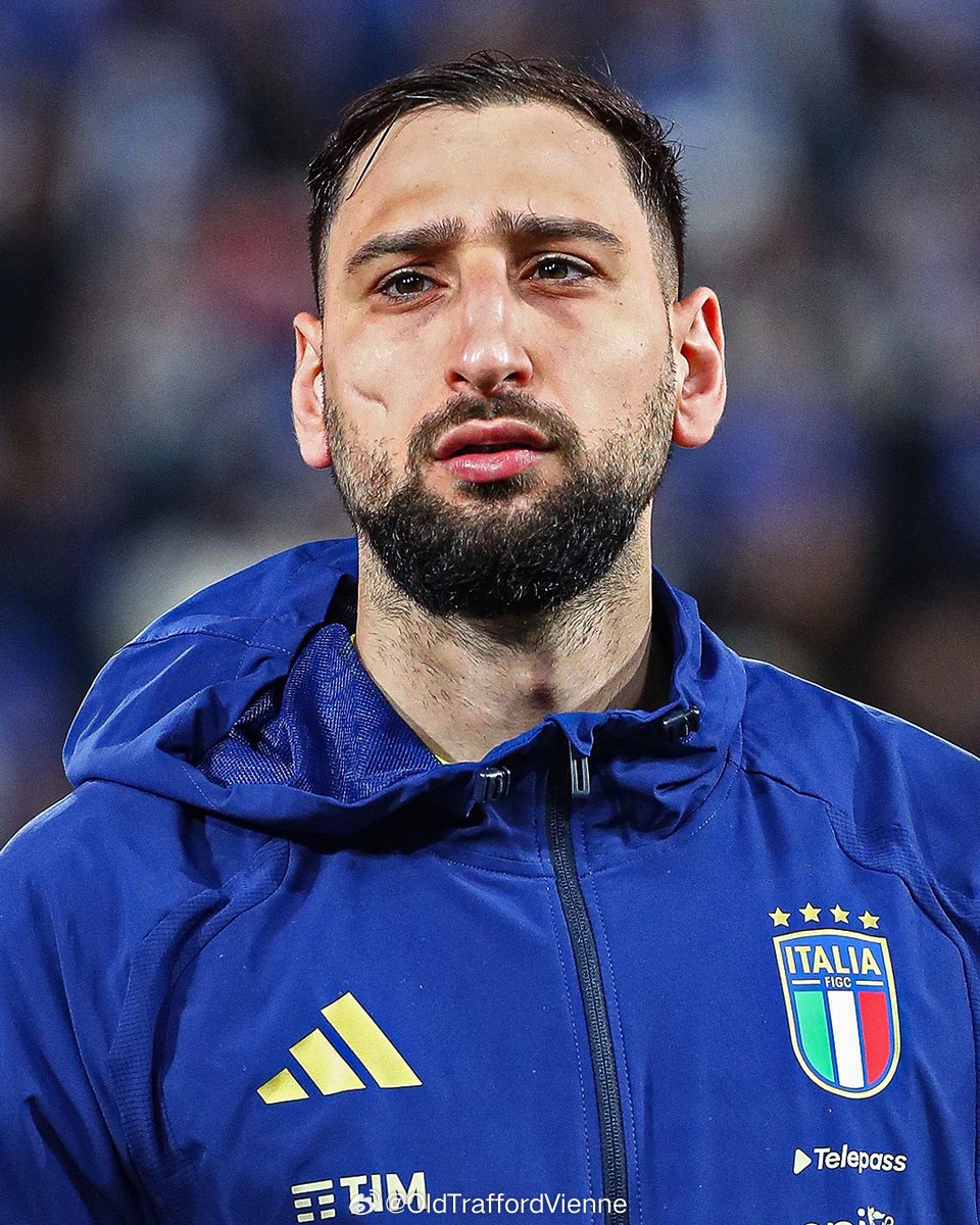 钱多多17岁开始进入意大利国家队守门，31岁还没进过世界杯舞台惨 