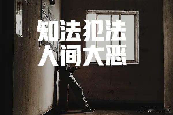 法院中的害群之马，都是表面“翩翩君子”的有权有势之人，然后才可以用权势压人，换取