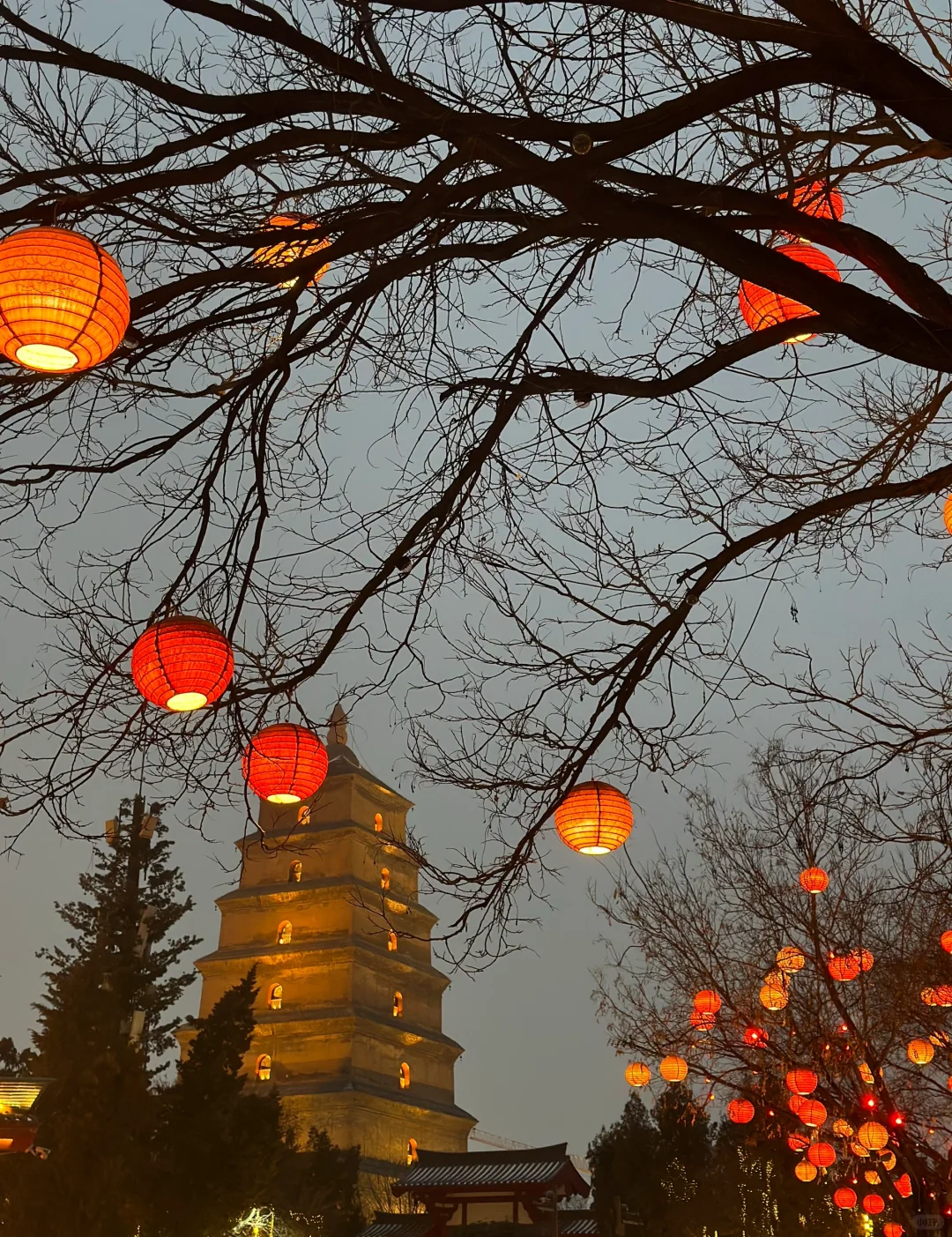 🌷给导师拜年有没有必要？ 怎么拜年？