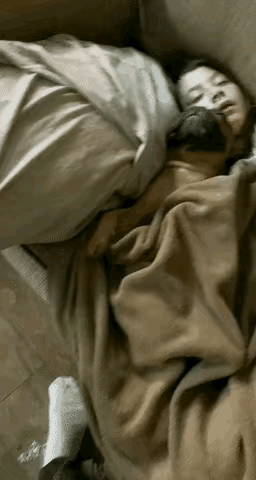 养宠物的人都知道一个道理，不管养的是什么宠物，包括小猫小狗，只要养的时间长了，所