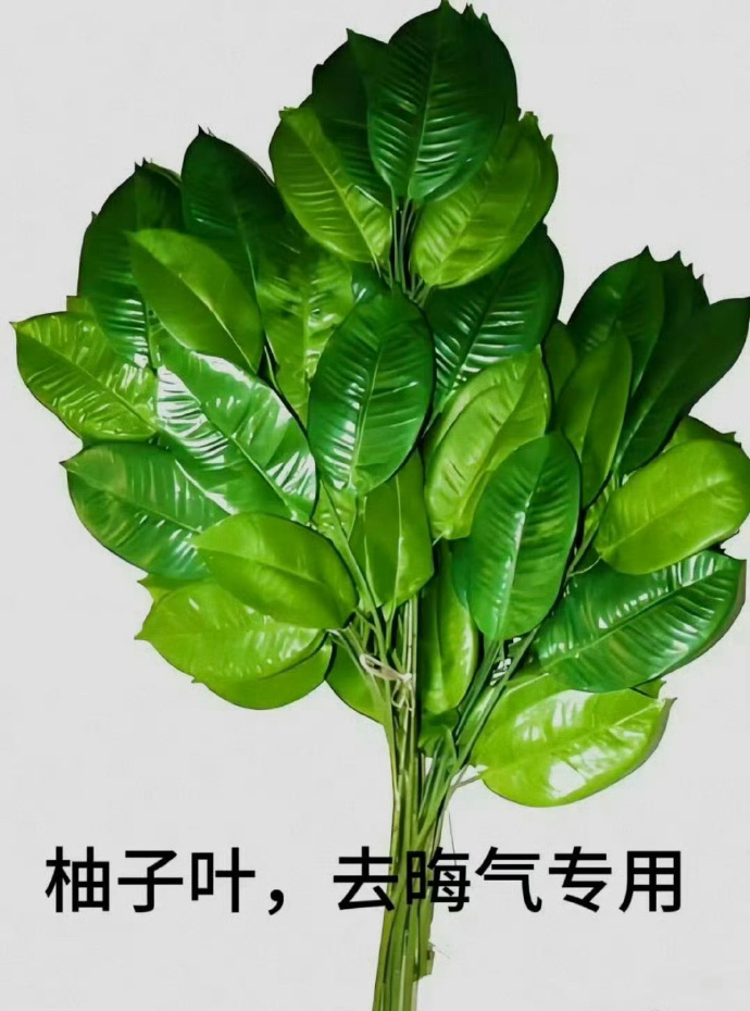 去晦气柚子叶 🍃 ​ ​​​