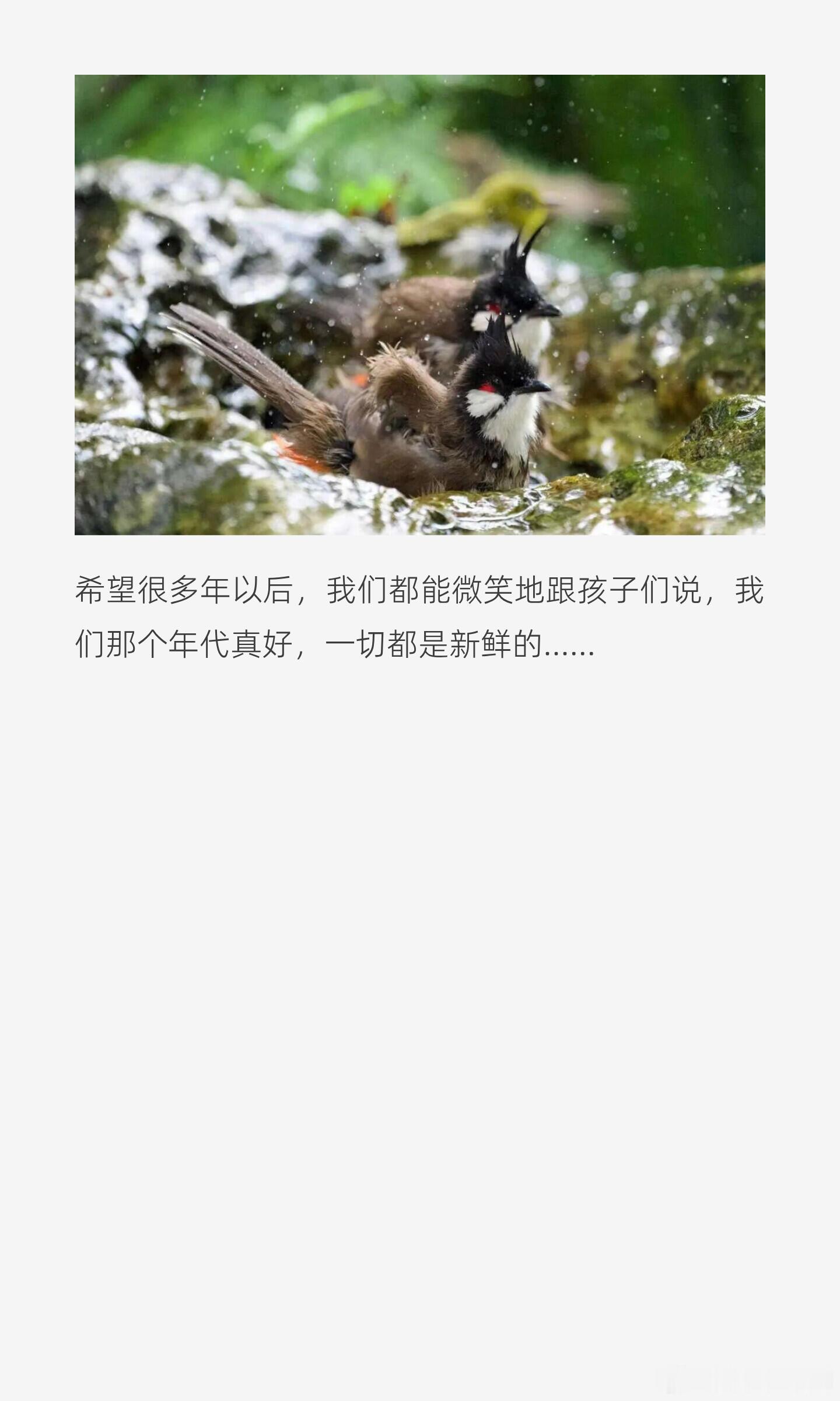 我们的影像课，其实应该叫做影像生活课，拍照只是课程的一小小部分，怎么通过认真玩，