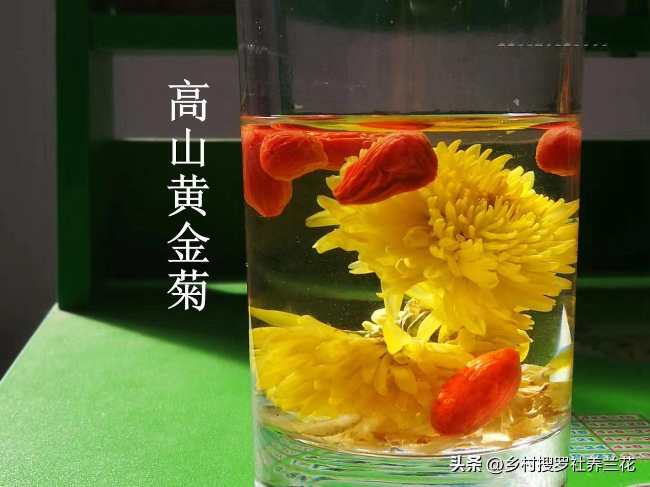 菊花在海拔500米以上种植时，病虫害发生率比低海拔地区要低几倍，农作物的病虫害是