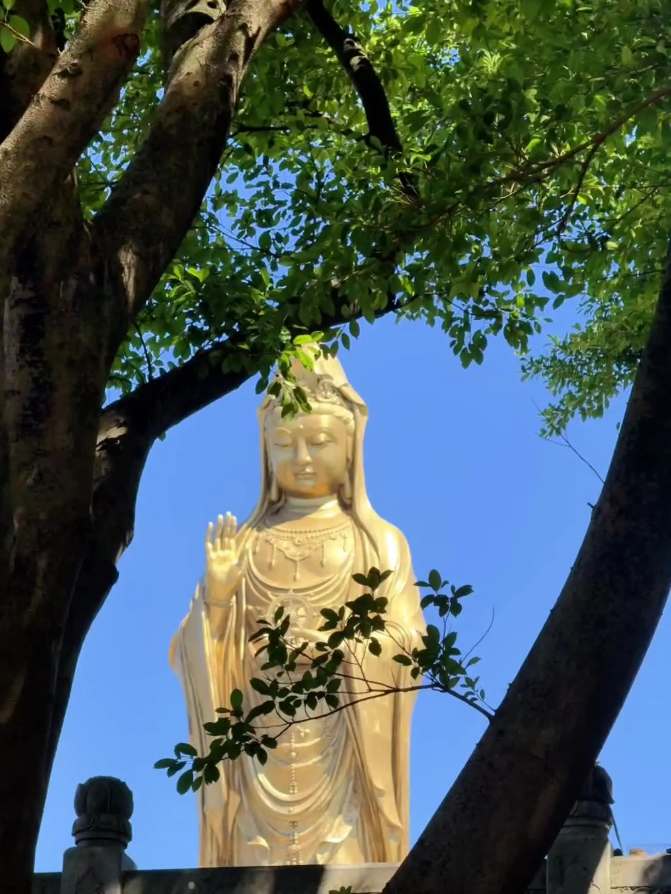 一方净土    三柱清香 愿心所愿，皆能如愿🪔️
