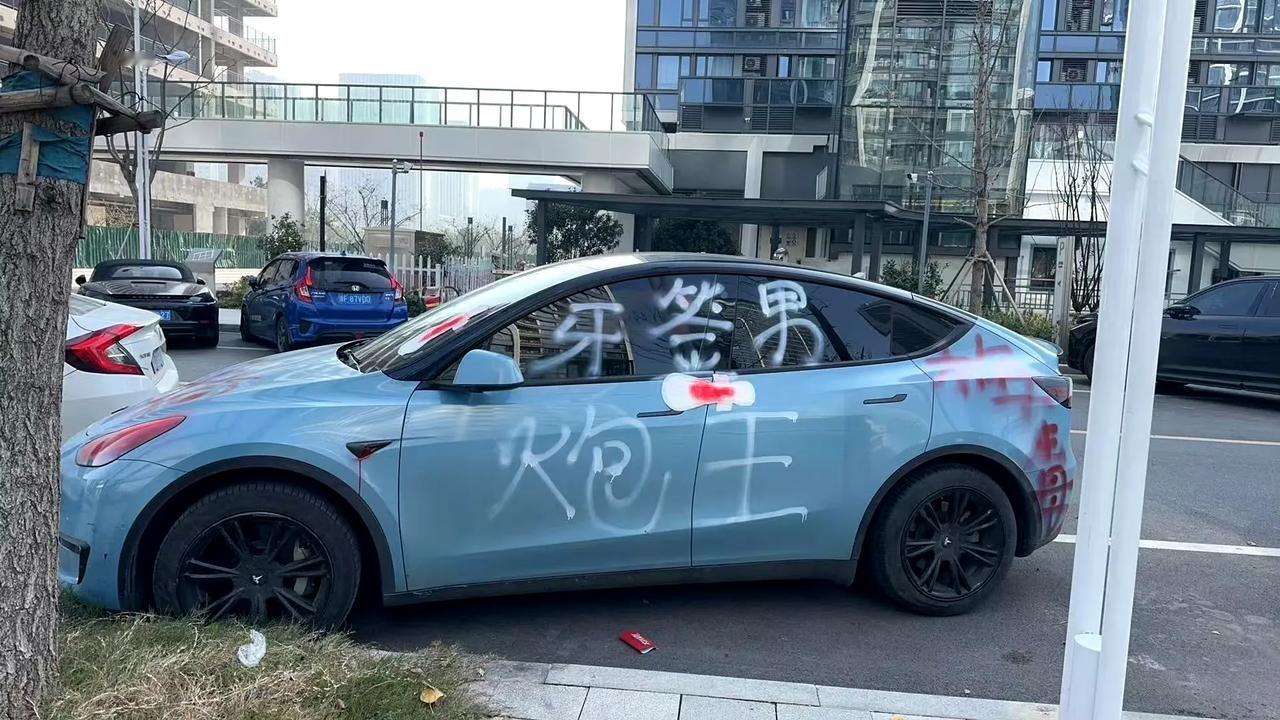 特斯拉毛豆3也行了
这都可以招蜂引蝶
不过看样子车主有软肋呀