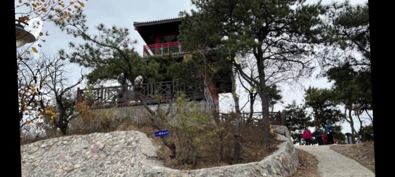 冬旅风光 这里风景独好
📍上海