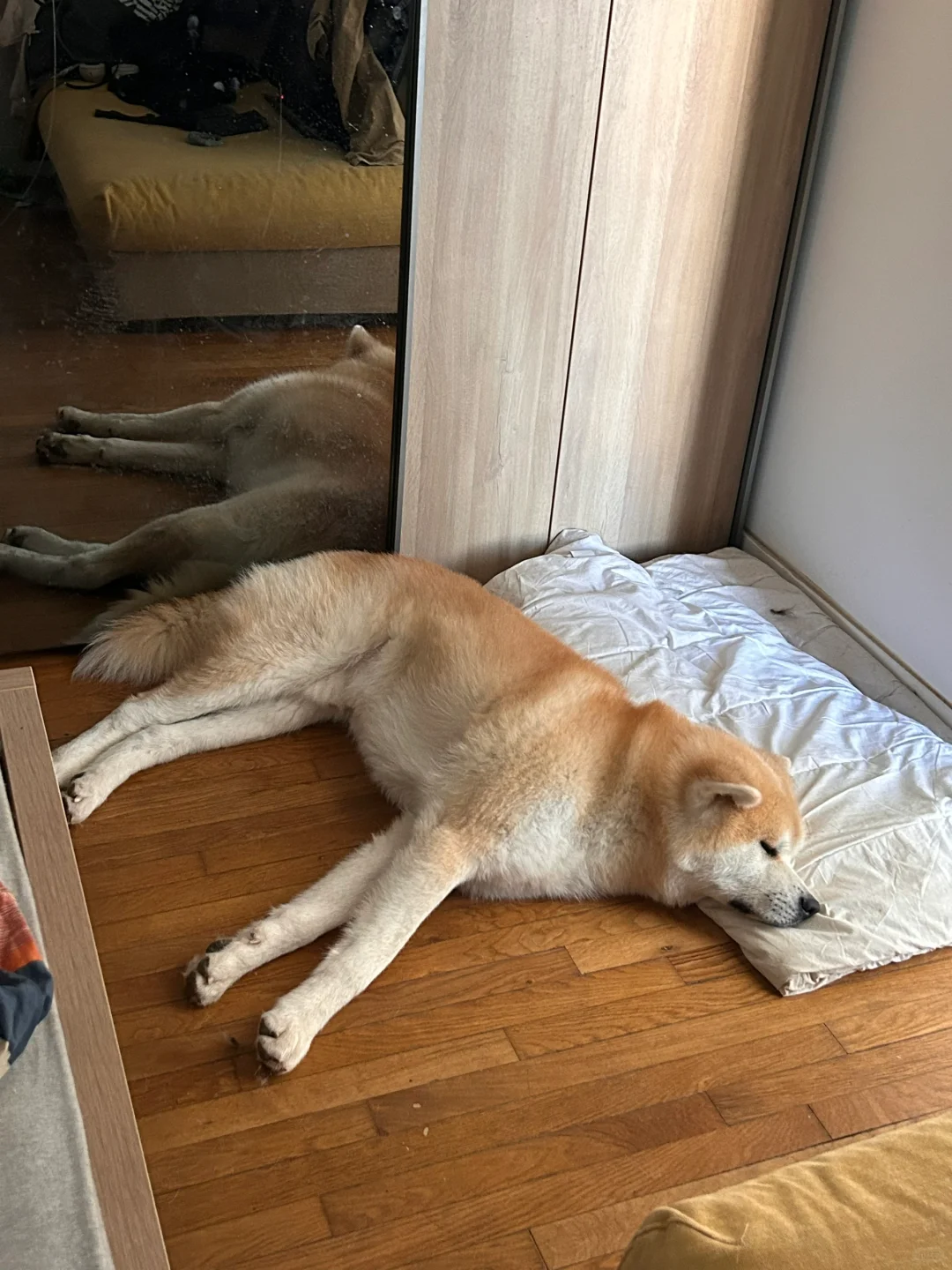 傲娇王子和抹布公主