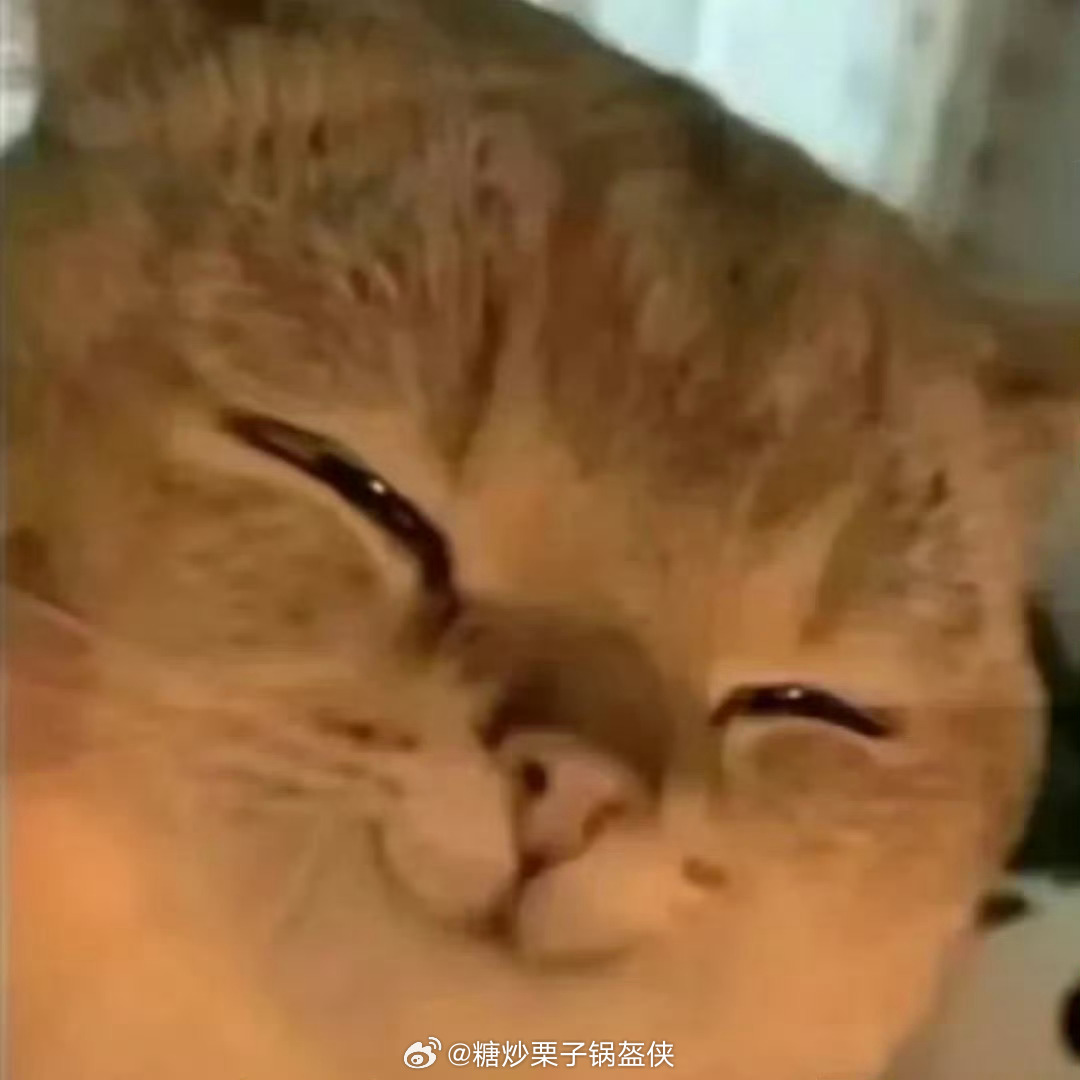 不磕古偶，不磕现偶，不磕耽美只磕姐妹情、兄弟情、伪CP我：只有假的CP才好磕!!