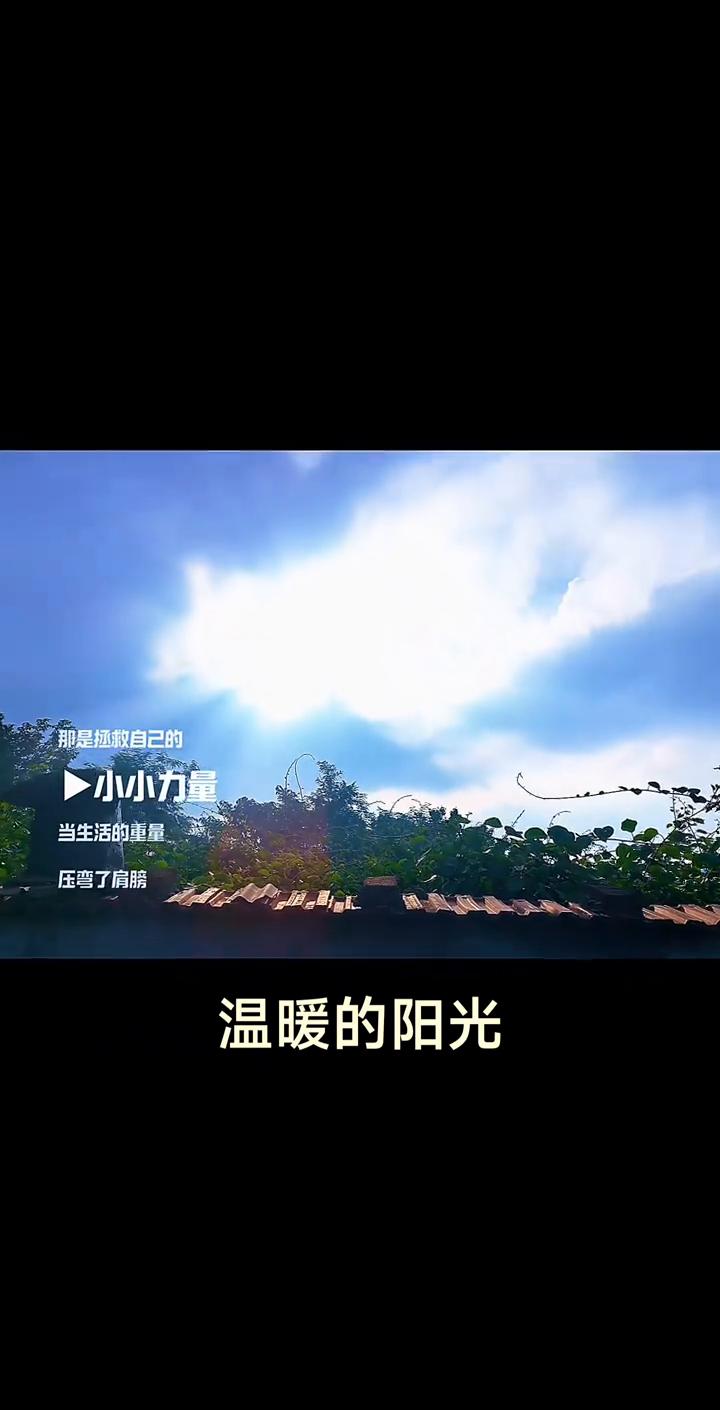 温暖的阳光，你必须有个地方存放倔强，那是拯救自己的小小力量。当生活的重量压弯了肩