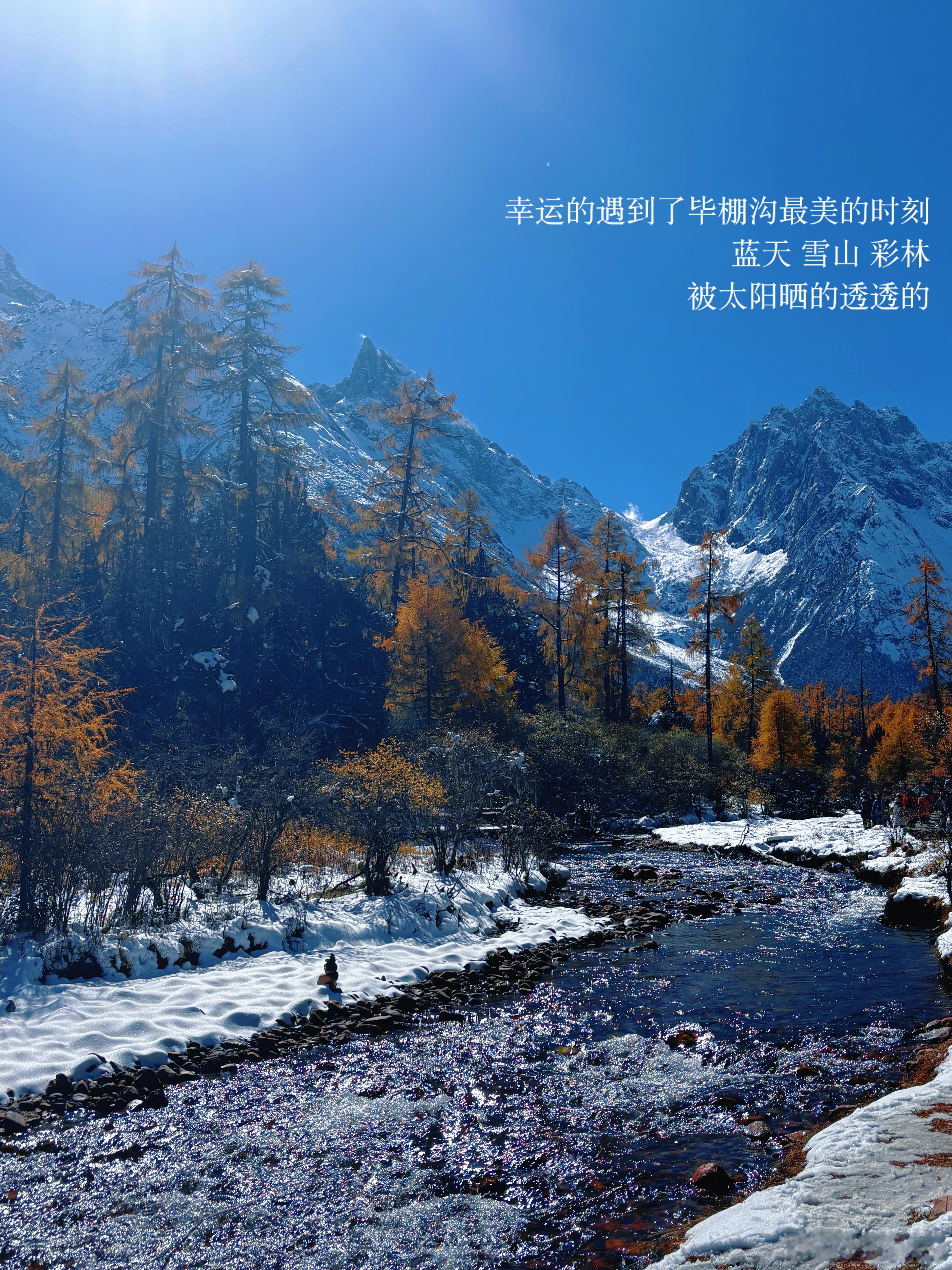 🍂🏔️去川西看一场秋/川西没有目的地一切画面都是流动的细微的惊喜总是躲藏在窗