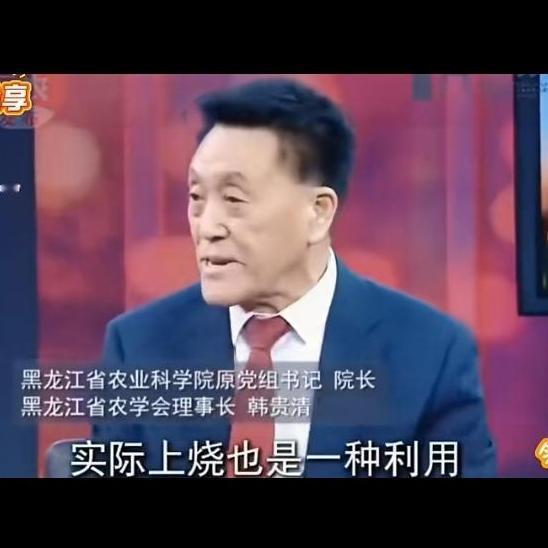 一位农科院专家说，秸秆有序的焚烧并不影响环境，而且烧后的碳灰又回到田里，秸秆焚烧
