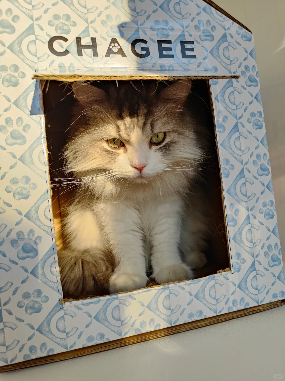 买了个保温杯，快递箱子居然…