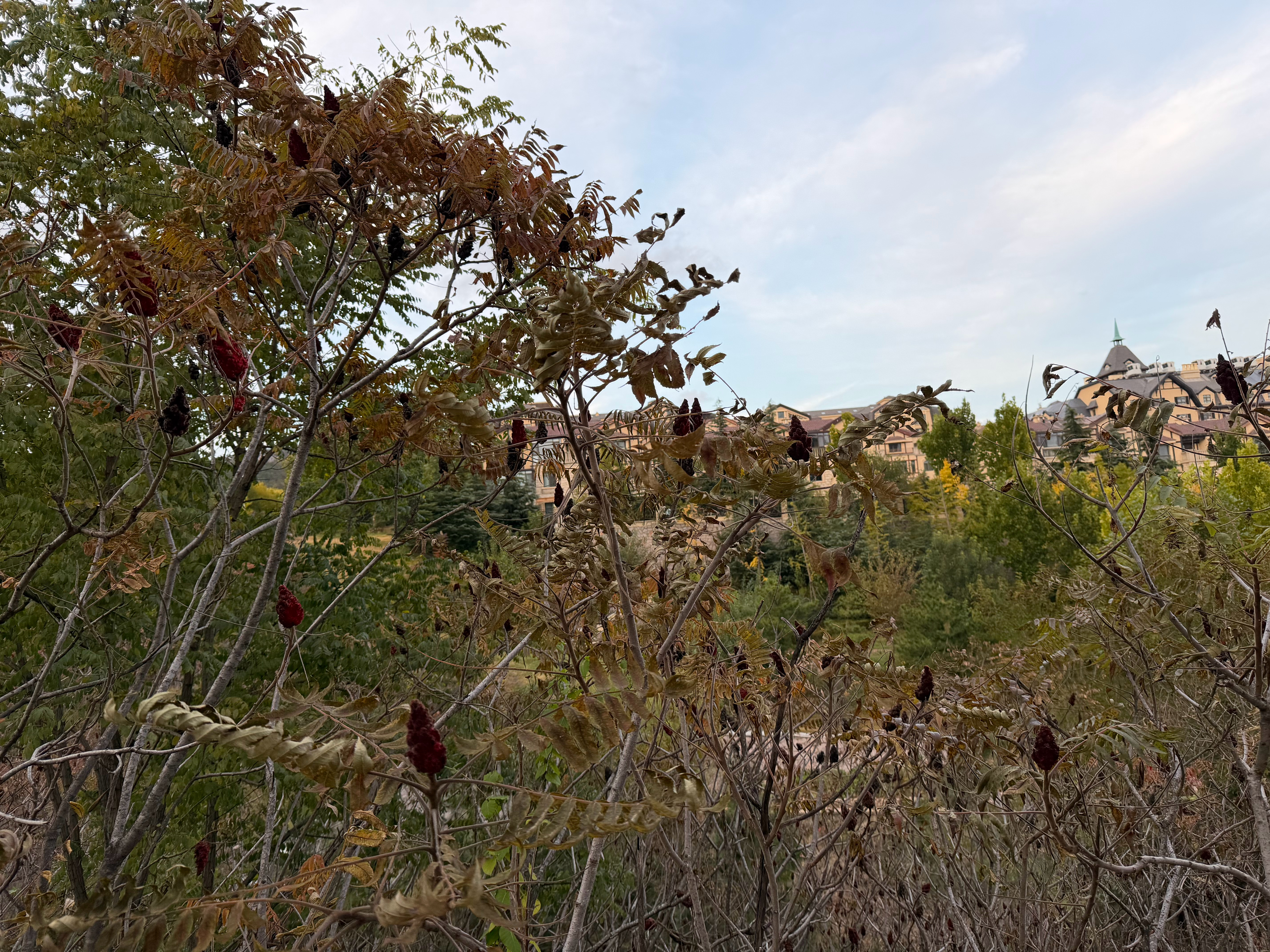 汽车行业，60 天账期的事情，现在怎么样了？各位有做零部件的吗？主机厂付款，有没