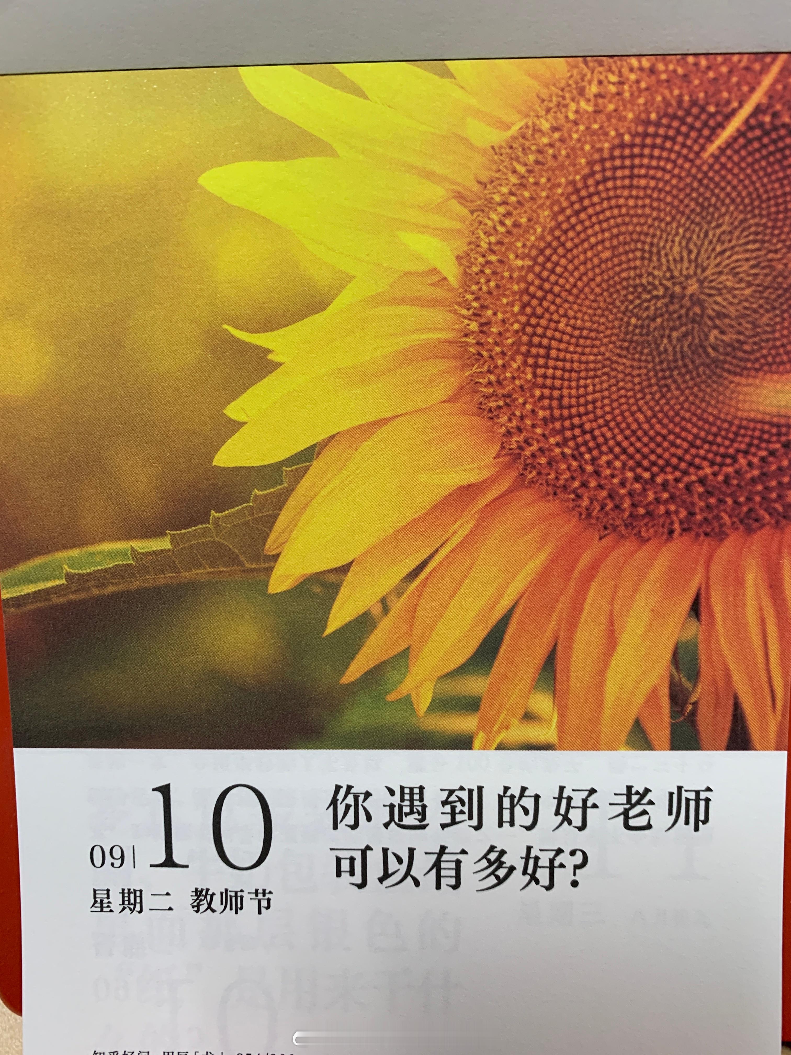 早安朋友们，祝所有的老师们 ​​​