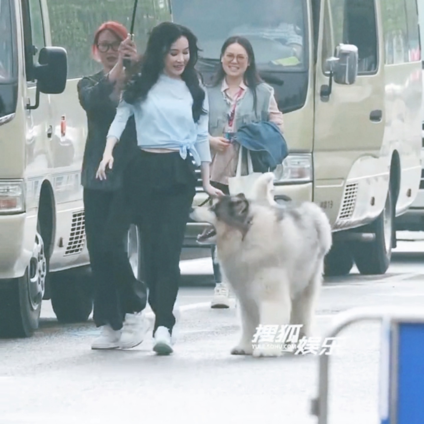 诶哟好萌吧  （又被我嗑到了 