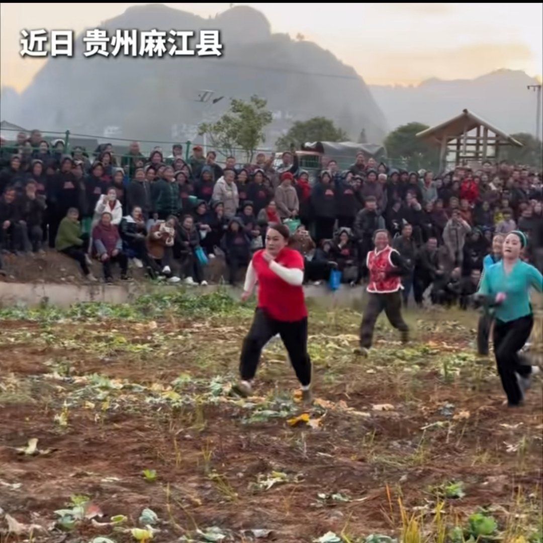 好活动抓小猪，我也想参加。 