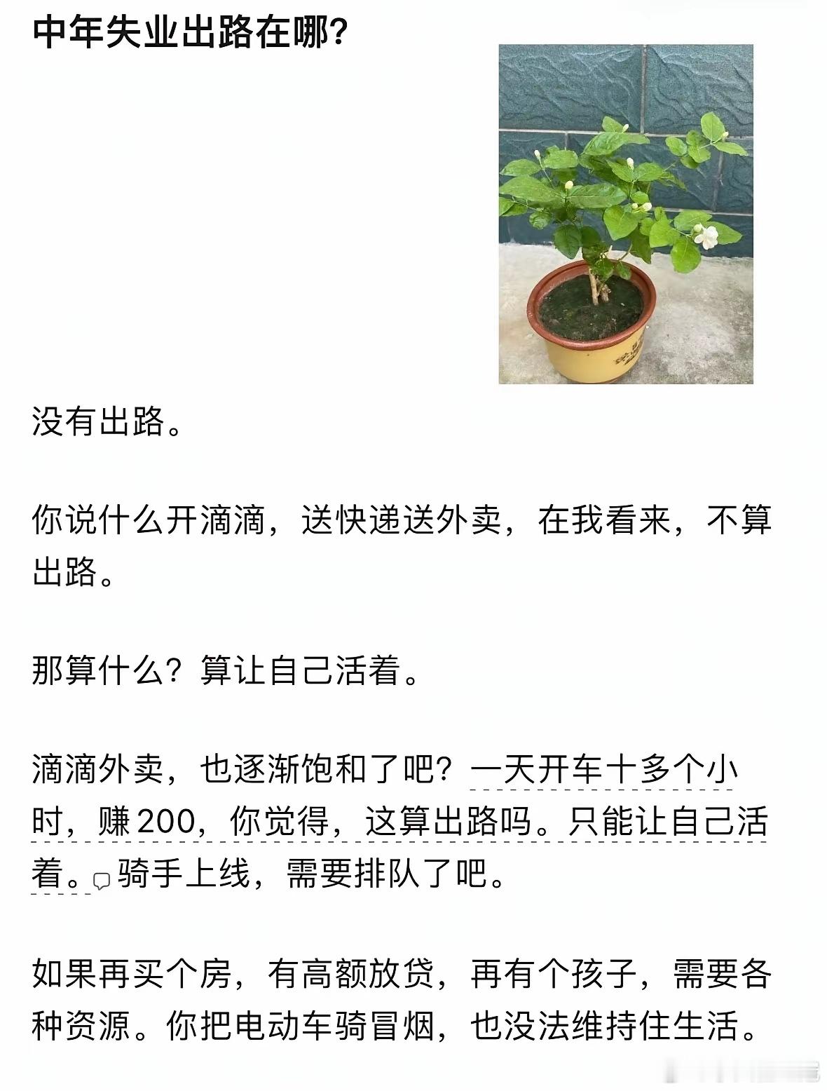 孙宇晨有个建议，还是值得一听的：把自媒体账号当成可以无限加杠杆的隐形股权，粉丝就